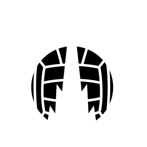 Falkirk crest